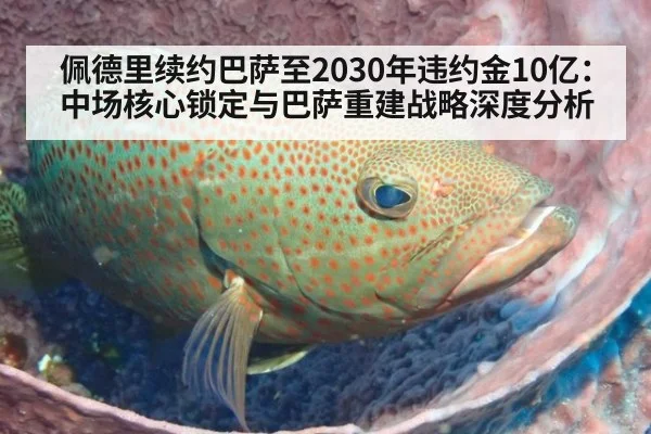 佩德里续约巴萨至2030年违约金10亿：中场核心锁定与巴萨重建战略深度分析